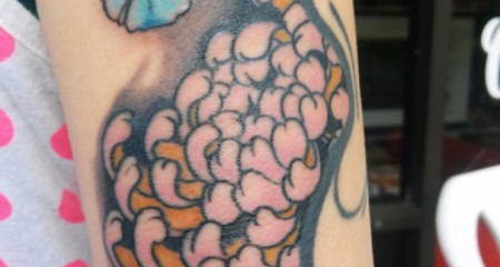 CAM04008