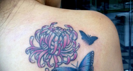 alisia’a butterfly
