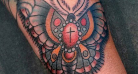 moth