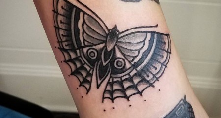 butterfly